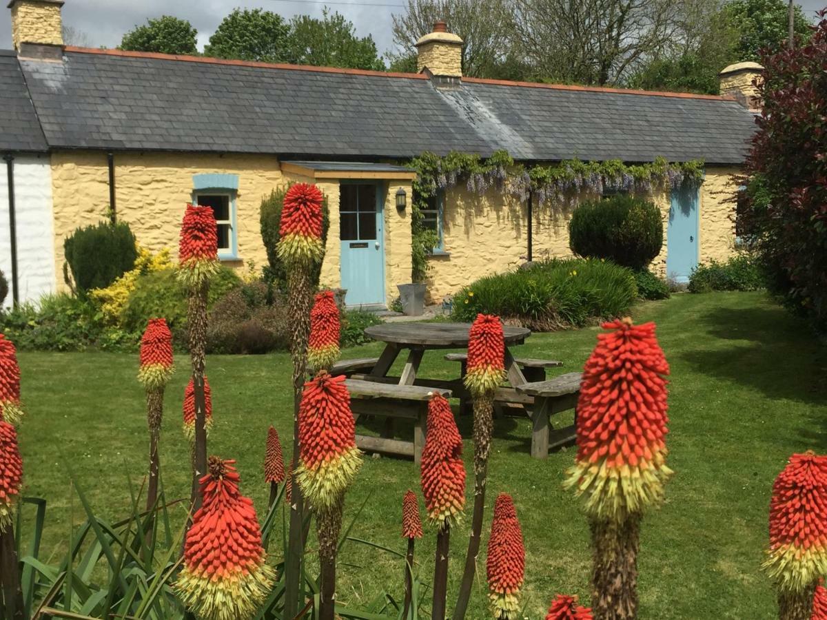 Charming Welsh Cottage Johnston Extérieur photo